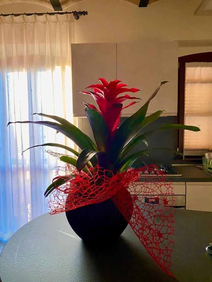 B&B Terrazza Sul Borgo Mogliano Εξωτερικό φωτογραφία